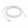 CAVO USB 2.0 LIGHTNING 2MT APPLE 