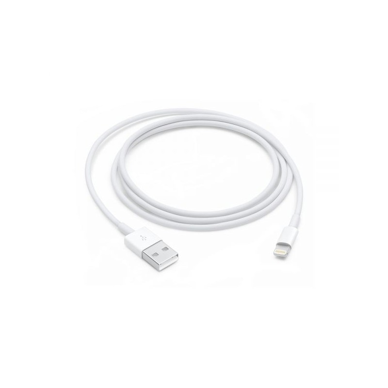 CAVO USB 2.0 LIGHTNING 1MT APPLE NEW CODE